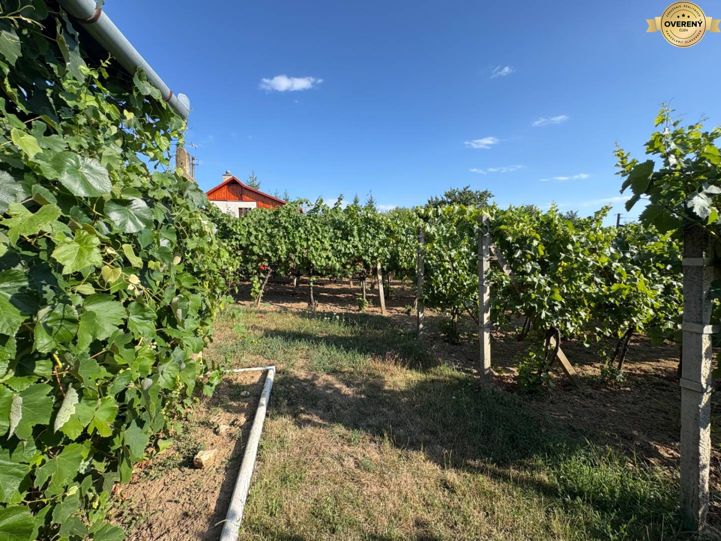 Na predaj: Ovocná záhrada v Leviciach