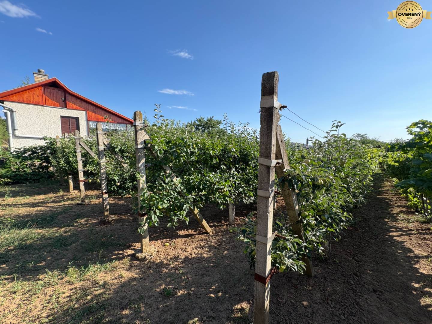Na predaj: Ovocná záhrada v Leviciach