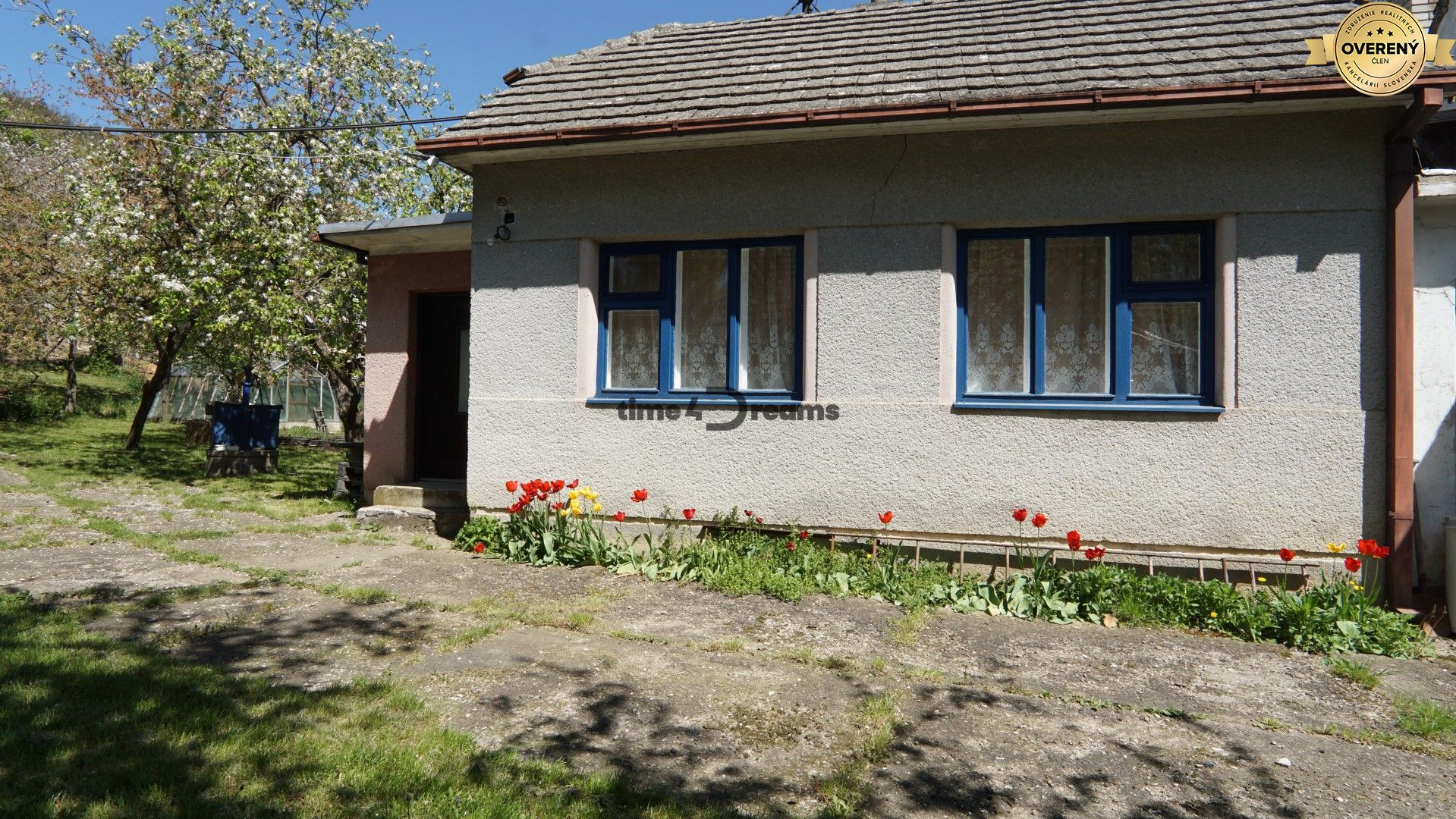 DSC02220 (Large).JPG
