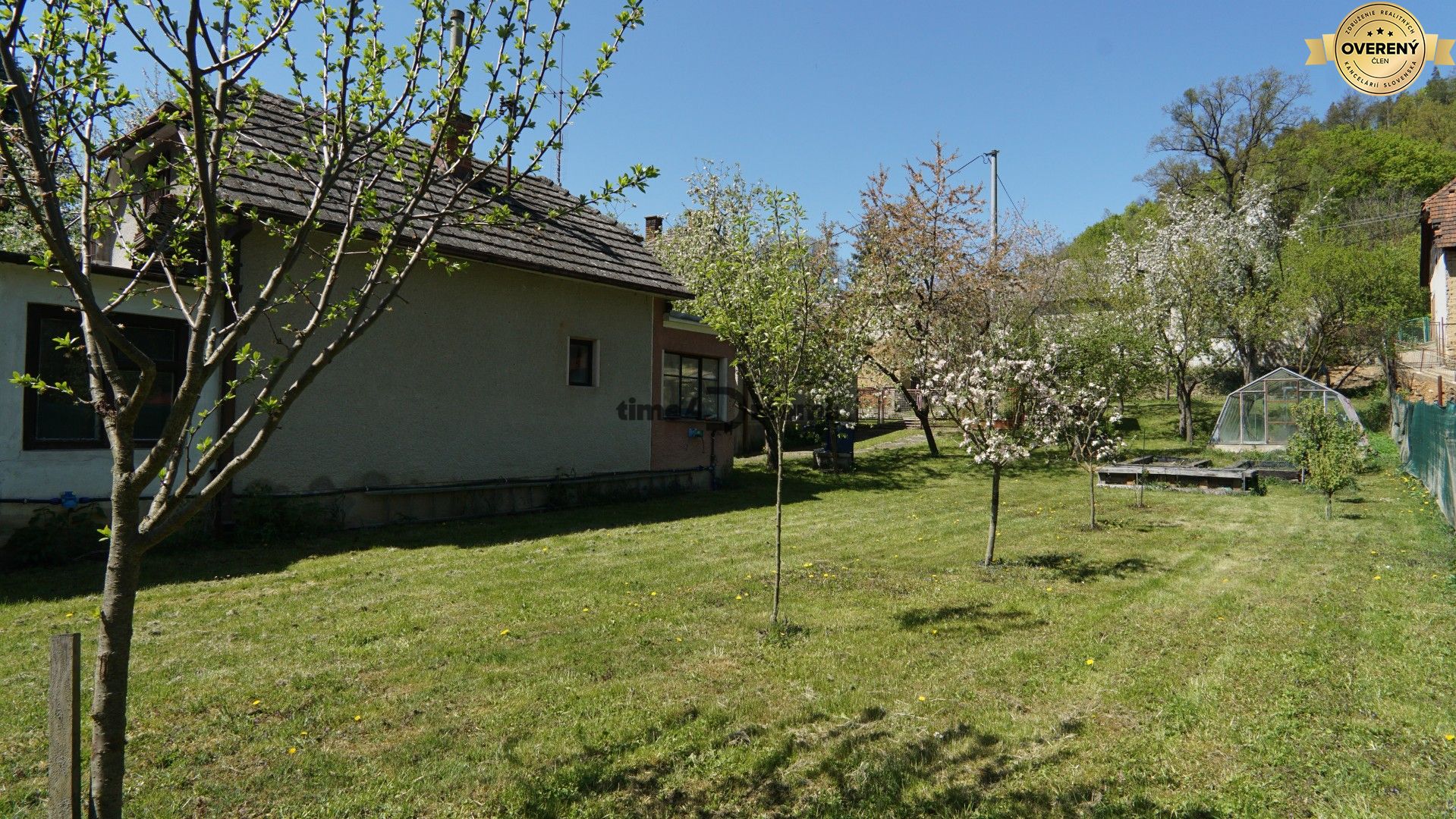 DSC02215 (Large).JPG