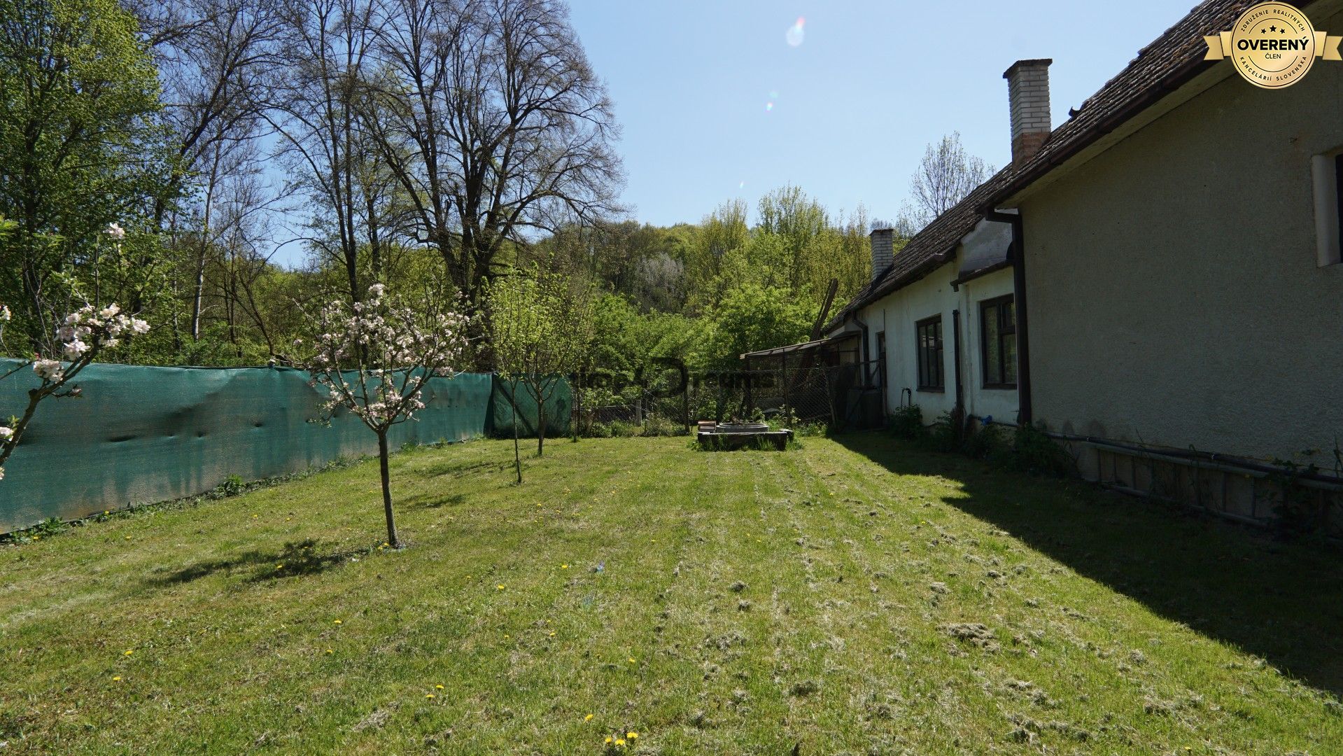 DSC02214 (Large).JPG