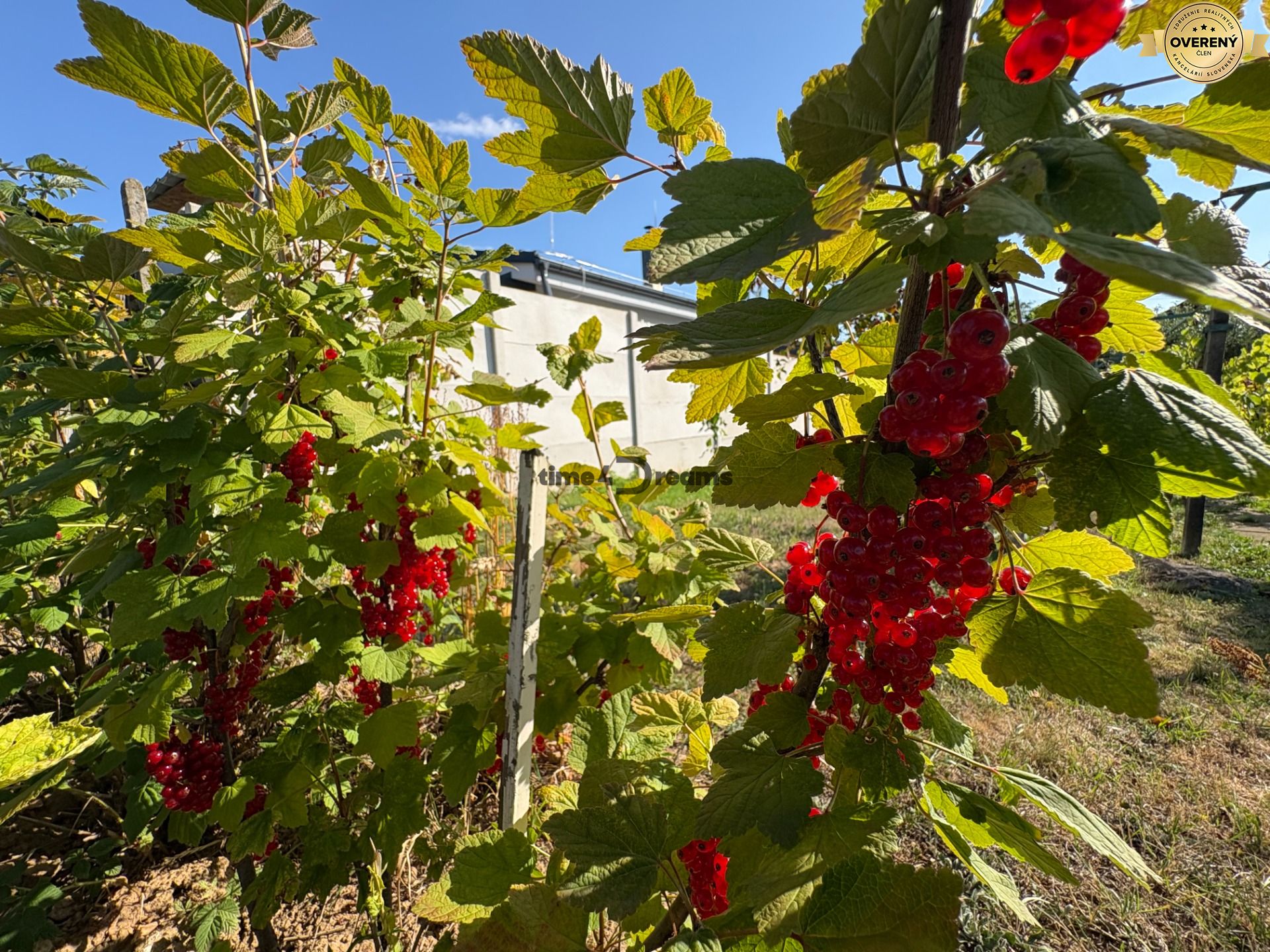 Na predaj: Ovocná záhrada v Leviciach