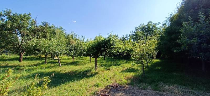 NA PREDAJ investičný stavebný pozemok v obci Malé Chyndice