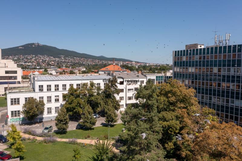 NA PREDAJ posledný štýlový byt v centre Nitry 