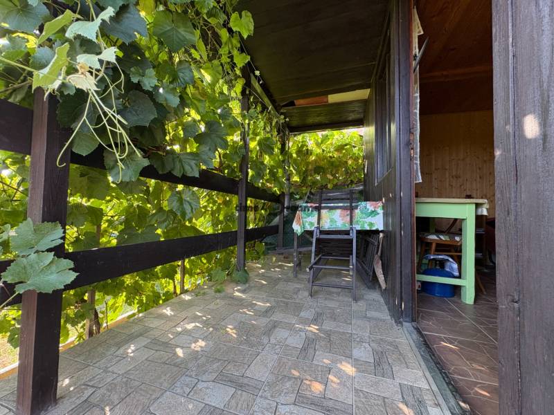 Na predaj: Ovocná záhrada v Leviciach